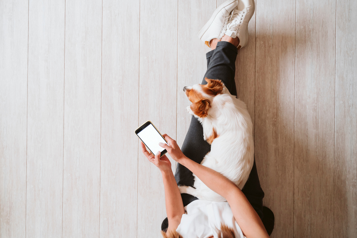 Woman Using Mobile Phone with Dog Lying on her Legs